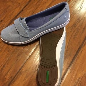 grasshopper shelborne